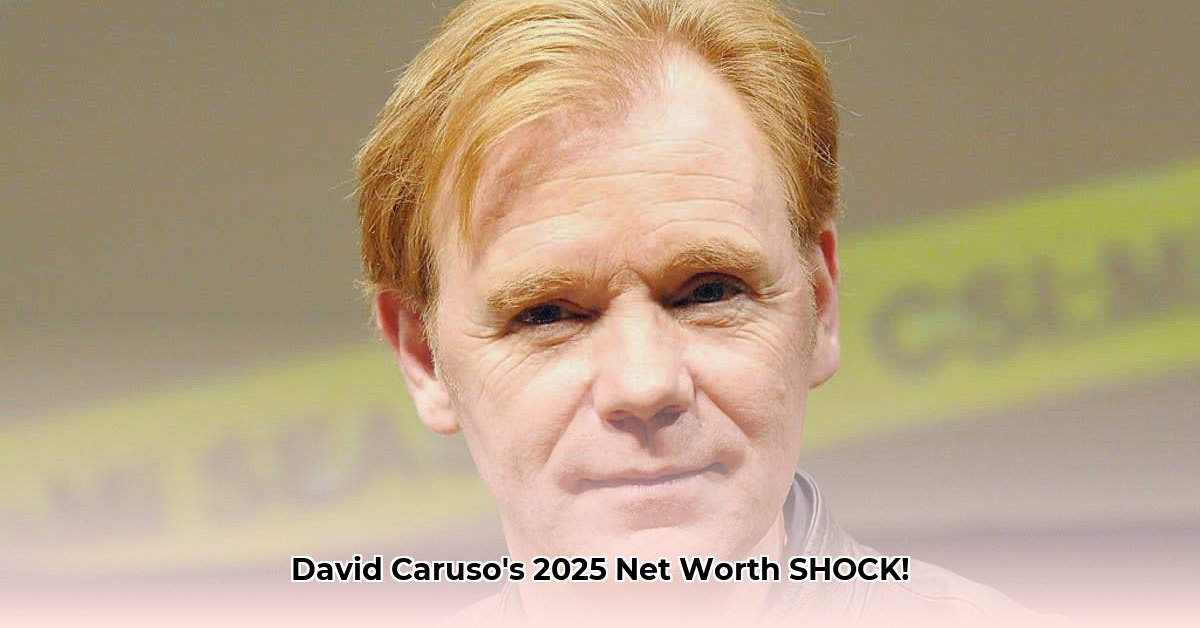 david-caruso-fortune
